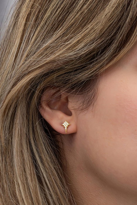 Heliophilia Silver NRZ999568 Pendientes de Plata de Ley 925 con Baño de Oro y Circon